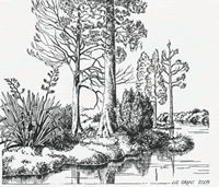 the wetlands illustrated